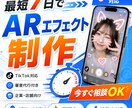 TikTok AR エフェクト を制作します 最短7日・審査代行付きでUGC爆増 イメージ1