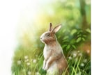 世界観を大切にした一枚絵を制作します 人物・動物・背景まで丁寧に描きます イメージ4