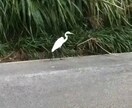 何でも相談にのります 何でも構いません。相談にのります。 イメージ1