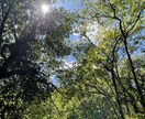 誰にも言えない悩み 心のモヤモヤ 私が聞きます 心の中頭の中を支配する悩みに振り回されるのはもう終わりです！ イメージ1