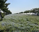 色んな悩みや愚痴、男女問わず話し相手になります 帰宅中や食事中、ベッドの中など何処でもOKです！ イメージ2