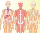 分かりやく見やすい！医療・解剖イラストを作成します 医療系イラスト実績あり！WEB・資料・論文作成をサポート！ イメージ1