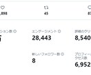 会社さん向け/1か月ツイッター運用代行します 1万人フォロワーがいる私が運用します イメージ2