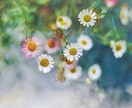 夢診断×霊視透視❀夢のメッセージを深く紐解きます あなたの夢に隠されたメッセージを魂のレベルから読み解きます イメージ9