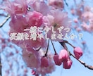 何者でもないあなたでいられる時間を提供します ■ちょっと落ち込んでいる時、疲れた時に来てください。 イメージ1