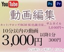 YouTube/SNS動画編集をします 高品質なYouTube動画SNS動画を編集いたします イメージ1