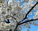 アプリ婚活成功者が支援します 心理学的アプローチで気になる人とのやりとりを成功させよう イメージ2
