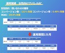 現役プロがSNS(Meta)広告を運用します ≪実績200社以上≫上級ウェブ解析士-現役広告代理店の責任者 イメージ8