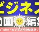 ビジネス系動画編集を承ります 見やすく、丁寧な編集を心がけます！ イメージ1