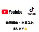 企業の雰囲気に合わせて、動画編集・テロップ入れます 動画送るだけで切り取り編集・テロップ入れます。 イメージ1