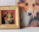 あなたのペットの写真から絵を描きます ペットの絵をプラバンに描きレジンでツヤツヤの作品にします イメージ6