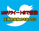 拡散力抜群！100リツイートまで拡散し続けます あなたのツイートを輝かせます！限定値下げ中！拡散なら今！ イメージ1