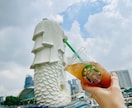 シンガポールの旅行プランを作成します 現地在住2児の母のブロガーが個人から家族旅行まで幅広くご提案 イメージ1