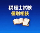 税理士試験のご相談に乗ります 働きながら合格した現役税理士が伴走します イメージ1