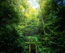 初心者が風景・街 写真素材提供します 低価格でオリジナルと調整済の写真素材を提供！ イメージ2