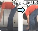 腰痛にならないための姿勢改善方法を教えます 腰をスイスイ動けるようになる重心バランスを教えます～ イメージ8