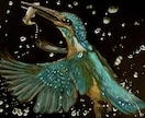 黒紙に色鉛筆でリアルな絵を描きます 黒紙アートとは他にない黒紙に色鉛筆でリアルな絵を描くアート イメージ7