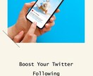Xのフォロワー増加承ります お使いのXのフォロワーを増やします。 イメージ1
