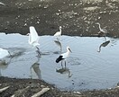 お子様の不登校の悩みうけつけます あなたのお気持ちすこしでも楽にします。 イメージ1