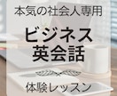 体験レッスン｜ビジネス英語の上達をお手伝いします 指導歴20年のフレンドリーなカナダ人があなたをサポートします イメージ1