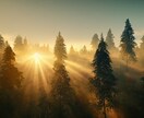 お二人の相性をチャネリングによってお調べします ハイヤーセルフに接続し、お二人の可能性を明らかにいたします イメージ3