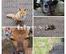 広告や背景に使える写真を提供致します チラシやポップの背景にお困りの方へ イメージ7