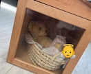 天使ママ、2児3児のママ、出産育児の不安聞きます 3人目で死産を経験しました。お話聞きます。 イメージ2