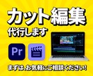 動画編集20分から3000円〜カット編集代行します 理想の動画になるお手伝いをさせてください！！ イメージ1