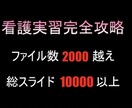 実習・国試対策の「最強」の資料教材を販売します 〜看護過程・看護計画700種類以上！〜 イメージ1