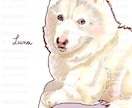 ご愛犬・わんちゃんのペットイラストを描きます ＊大切な思い出を心あたたまるイラストに イメージ9