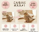 小さな写真を高画質で拡大します 最大600％まで対応！透かしサンプル確認後に納品します イメージ2