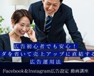Facebook＆インスタ広告を動画で学習出来ます 自分で出せる！Facebook＆インスタ広告【実践】動画講座 イメージ1