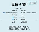 学生も安心！安くて早い！Live2dモデル作ります 安い！しかも瞳の物理演算と笑顔が無料！！ イメージ5