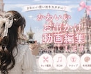 推し活　SNS向けvlog風動画を編集します 記録から思い出に　vlog風に残します◎ イメージ1