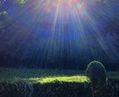 話は下手ですがきっと自信が持てるようになります 生きていると辛いですよね。僕と一緒に一歩進みましょう！！ イメージ1