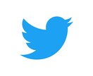TwitterのAPI申請を代行します 面倒な申請手続きを代わりに行います イメージ1