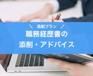 添削プラン／職務経歴書の整理・添削をします ★メッセージのみで完結★作成のアドバイスします！ イメージ1