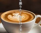お急ぎ可！ショート動画、編集します ２本（１分動画）３０００円でお任せ下さい！ヒアリング重視！ イメージ4
