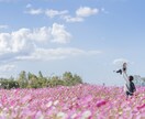 フォトレタッチ代行します 人の写り込みを消したり肌を綺麗にしたりします！ イメージ2