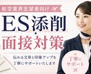 航空業界 CA・GS志望者のES添削します 伝わる文章と印象アップを丁寧にサポート！ イメージ1