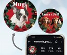 クリスマス向けペット写真SNSアイコンを制作します うちの子写真で現役デザイナーがセミオーダーで制作 イメージ2