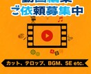 1.	YouTube動画編集を丁寧に行います 編集が苦手でもOK。素材を送るだけで動画が完成！ イメージ1