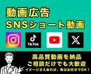 高品質な動画編集を得意としてます あなたのニーズに合わせて対応させてもらいます！ イメージ1