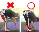 腰痛にならないための姿勢改善方法を教えます 腰をスイスイ動けるようになる重心バランスを教えます～ イメージ3