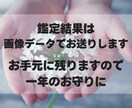 2026年運勢、新年のあなただけの運気を鑑定します 四柱推命などを駆使し、総合的な観点から総合運を占います イメージ10