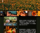 UI/UXを意識したWebサイト制作します デザインから実装まで一貫対応、丁寧な制作 イメージ3