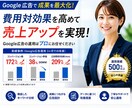 グーグル広告について実績に基づく改善診断します 様々な種類のグーグル広告について成果実績とノウハウがあります イメージ1