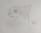 いろんなジャンルの絵の依頼を募集しています ペットの名前など入れること可能！ イメージ1