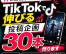 TikTok・Xで伸びる投稿企画30本作成します ネタ切れ解消！あなた専用で企画作成 イメージ1