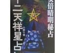安倍晴明秘占 十二天祥占いソフトを販売いたします 陰陽師安倍晴明の秘占で自らの運勢をエクセルで自動表示します。 イメージ1